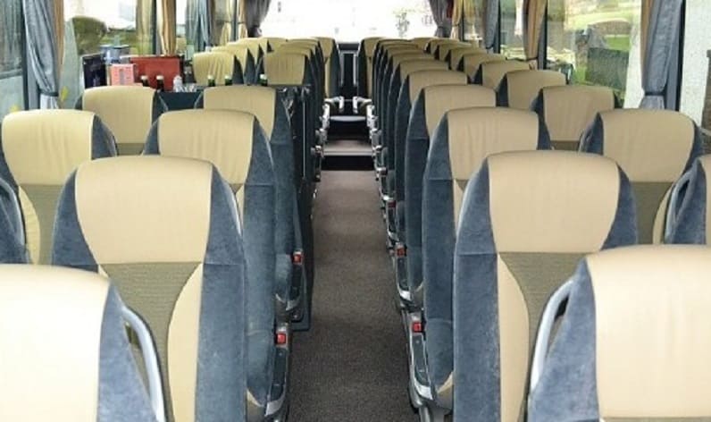 France: Coach operator in Bourgogne-Franche-Comté in Bourgogne-Franche-Comté and Mâcon